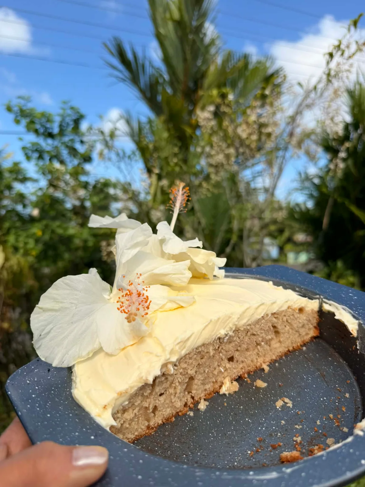 Cakes, Pies, Cinnamon Rolls — photo 3
