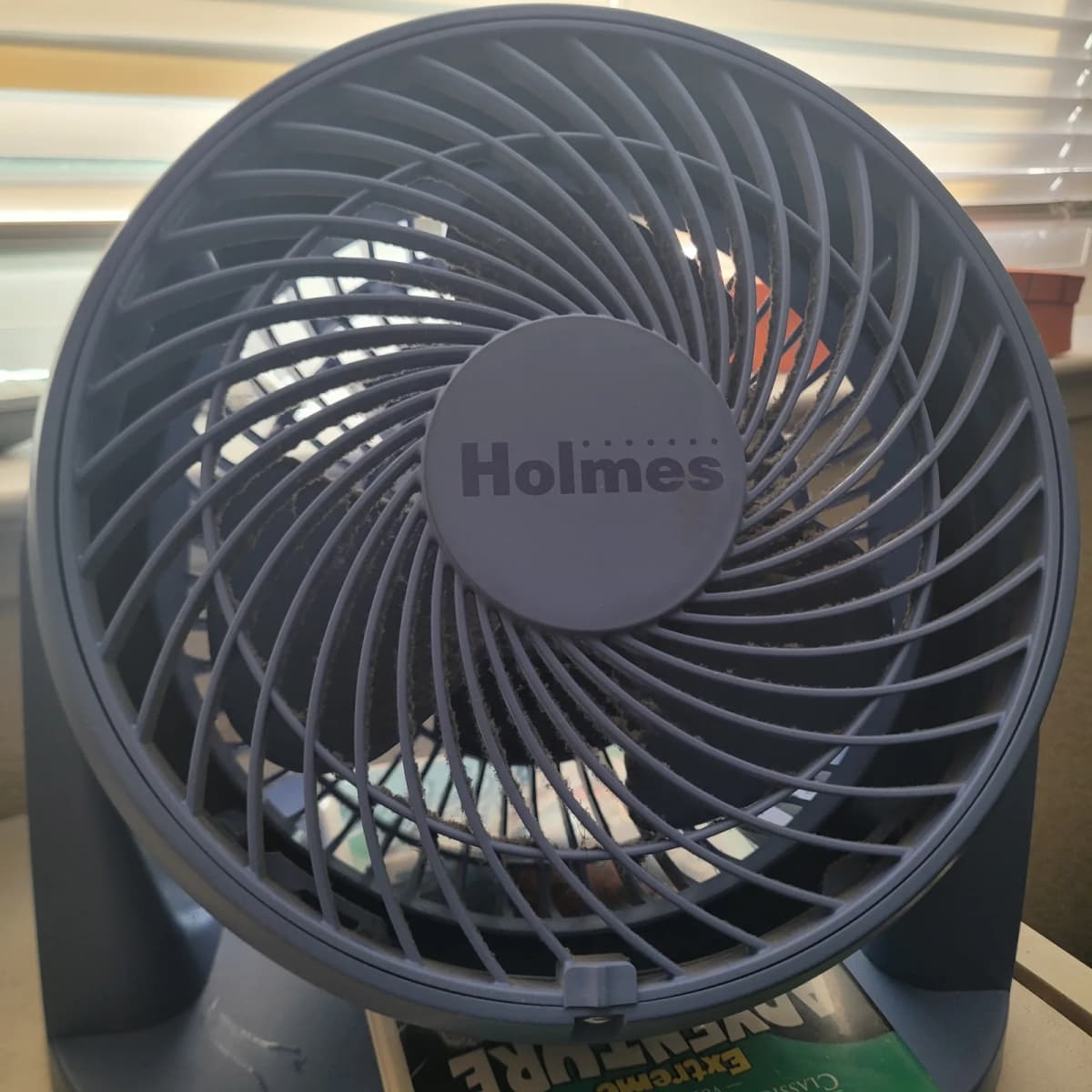 Fan — photo 1