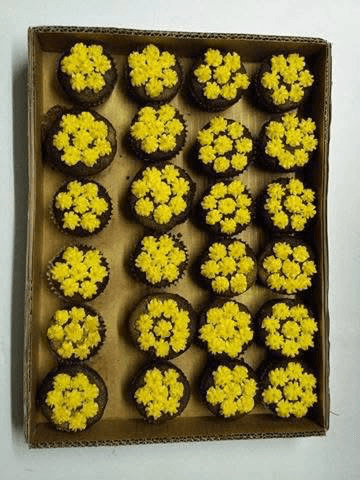 Cup cakes and lammingtons — photo 6