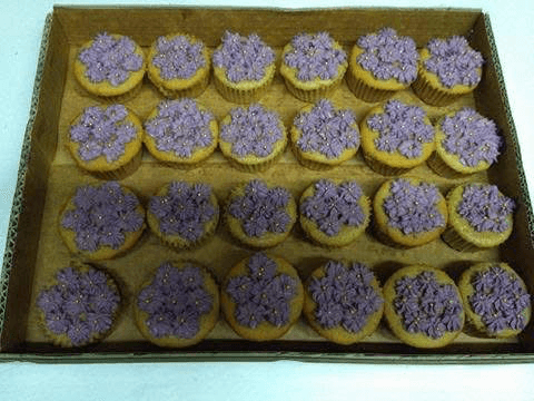 Cup cakes and lammingtons — photo 2