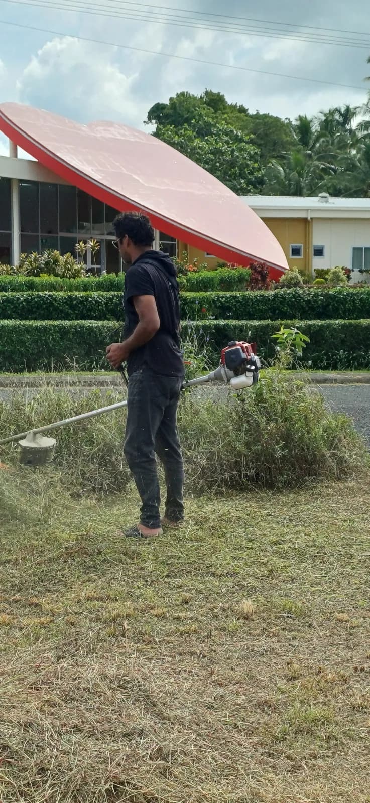 Grass Cutting — photo 9