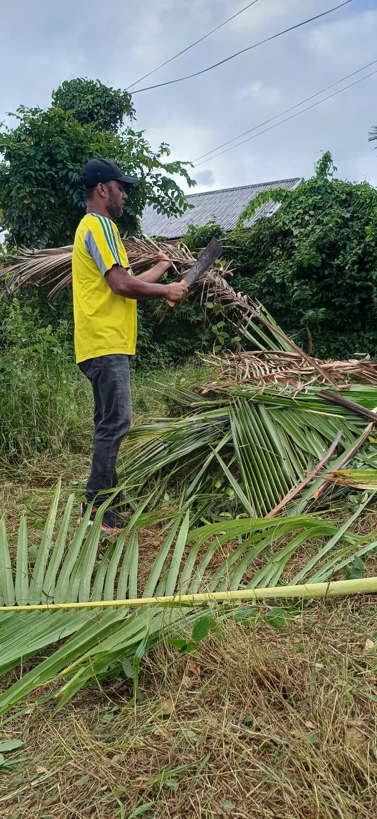 Grass Cutting — photo 4