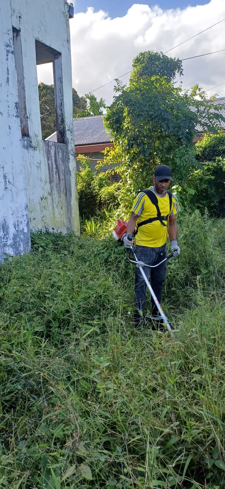 Grass Cutting — photo 3