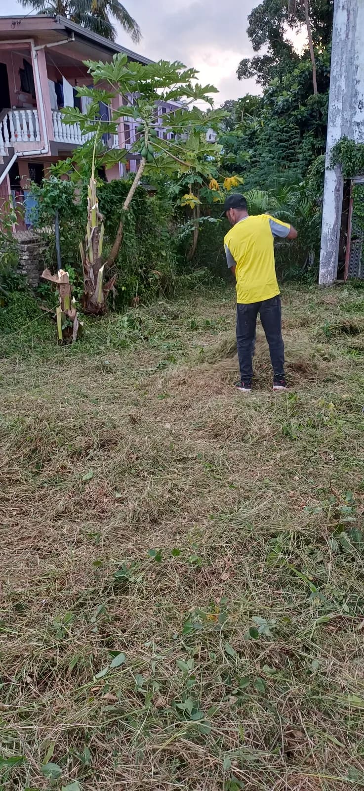 Grass Cutting — photo 7