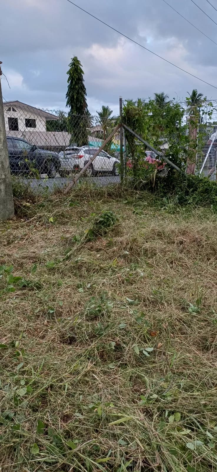 Grass Cutting — photo 6