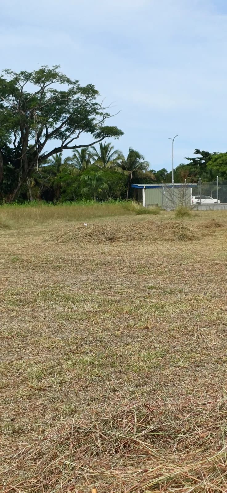 Grass Cutting — photo 10