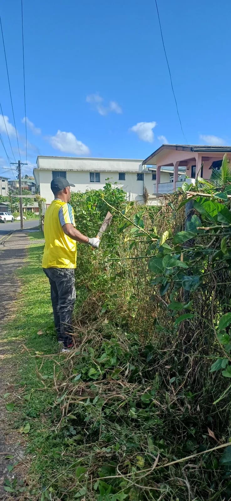 Grass Cutting — photo 1