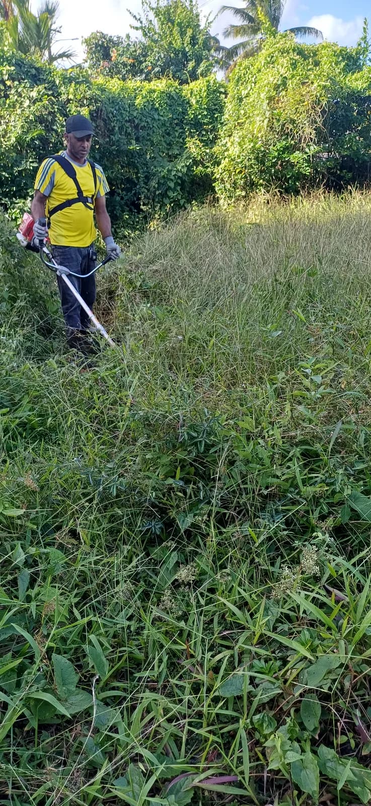Grass Cutting — photo 2
