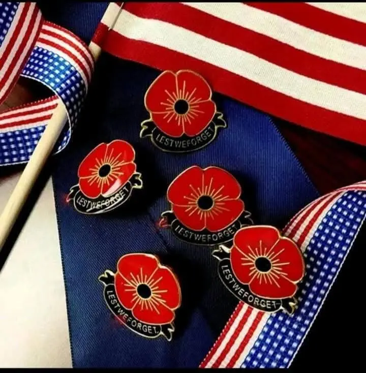 ๐บโค๏ธ POPPY REMEMBRANCE PINS โ $20 โค๏ธ๐บ ๐น Lest We Forget ๐น Honor and remember โ photo 5