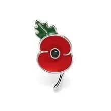 ๐บโค๏ธ POPPY REMEMBRANCE PINS โ $20 โค๏ธ๐บ ๐น Lest We Forget ๐น Honor and remember โ photo 9