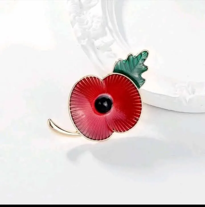 ๐บโค๏ธ POPPY REMEMBRANCE PINS โ $20 โค๏ธ๐บ ๐น Lest We Forget ๐น Honor and remember โ photo 10