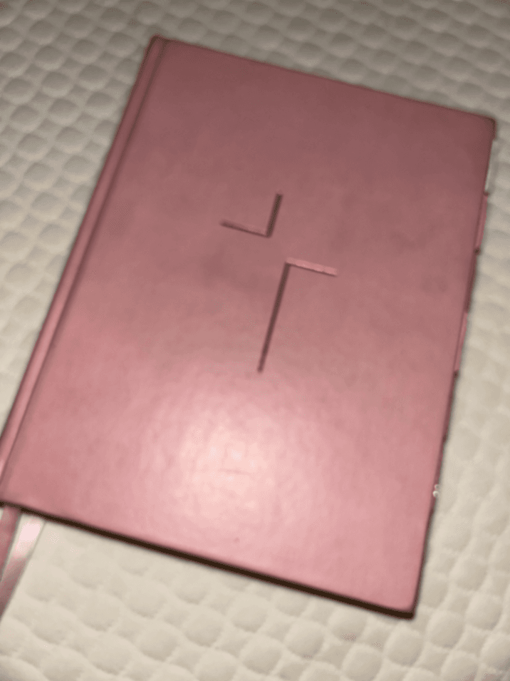 Pink Bible — photo 1