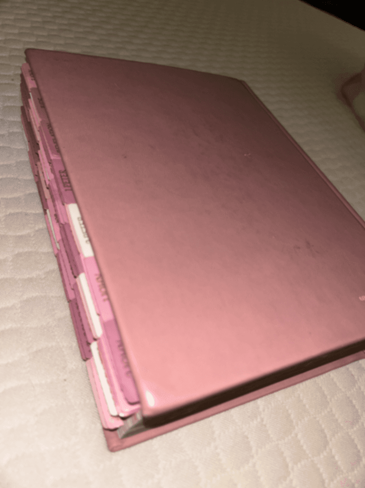 Pink Bible — photo 3